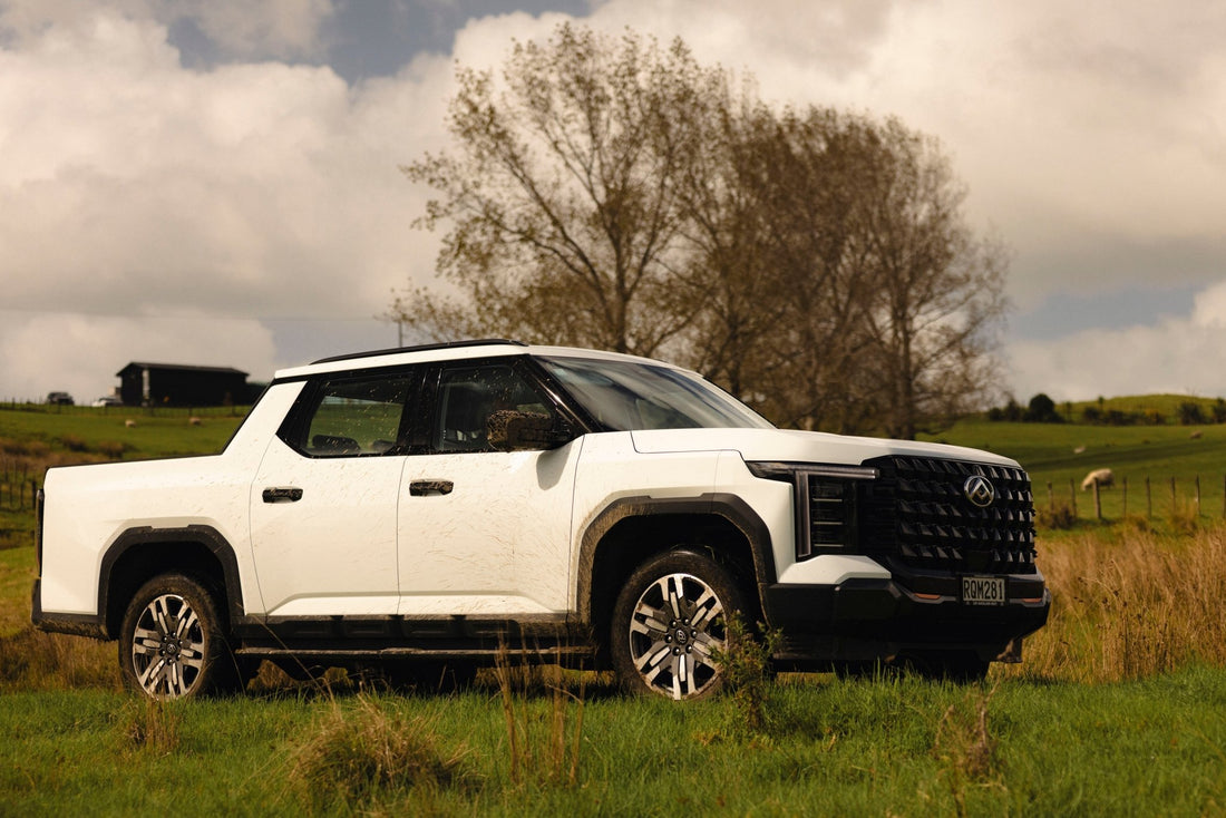 Factory Form: LDV Terron9 Premium - 4XJournal.com